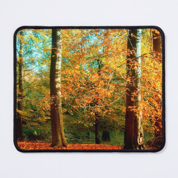 Item preview, Beech Wood designed and sold by FOLK ART FUSION by heidiannemorris.