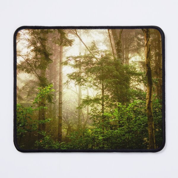 Item preview, Peace and tranquillity in a foggy wood by heidiannemorris © designed and sold by FOLK ART FUSION by heidiannemorris.