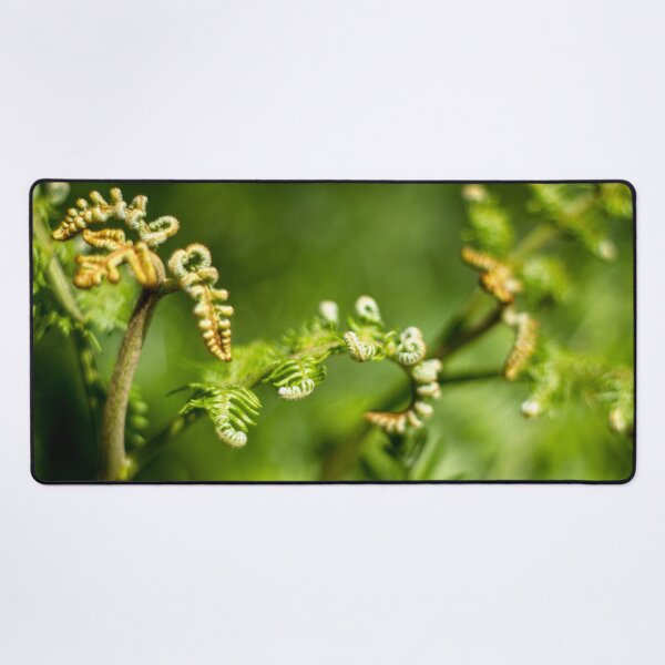 Item preview, A young fern leaf unfolding designed and sold by FOLK ART FUSION by heidiannemorris.