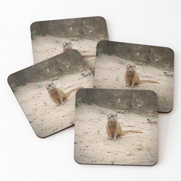 Item preview, Mongoose designed and sold by kew-photography.