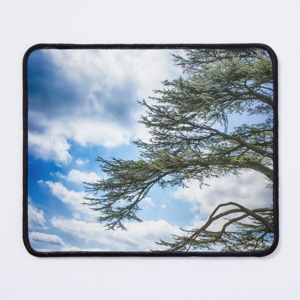 Item preview, Cedar of Lebanon tree with blue sky designed and sold by FOLK ART FUSION by heidiannemorris.