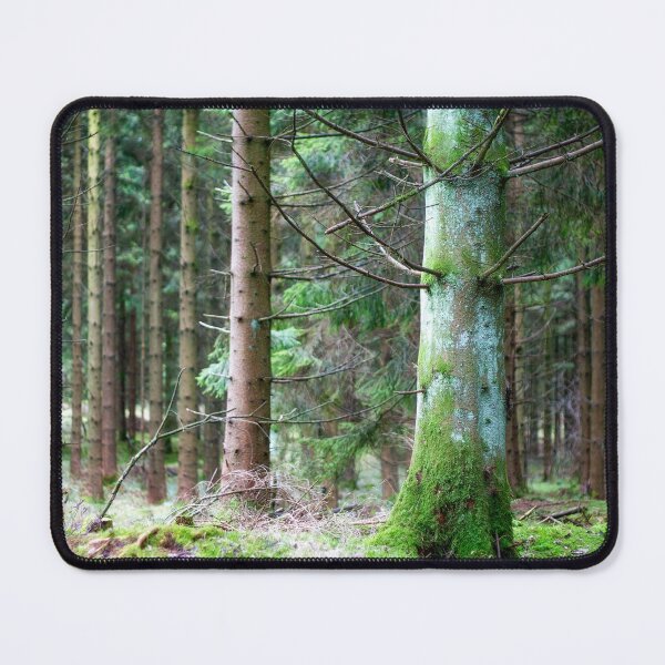 Item preview, Green of the pine designed and sold by FOLK ART FUSION by heidiannemorris.