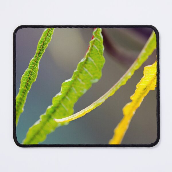Item preview, Three green leaves one yellow designed and sold by FOLK ART FUSION by heidiannemorris.