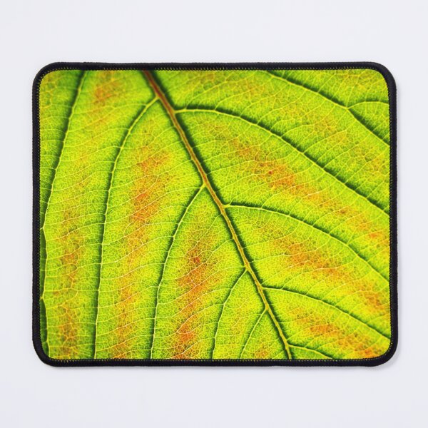 Item preview, Green leaf veins designed and sold by FOLK ART FUSION by heidiannemorris.