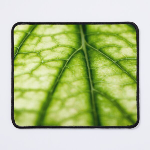 Item preview, Green leaf veins designed and sold by FOLK ART FUSION by heidiannemorris.