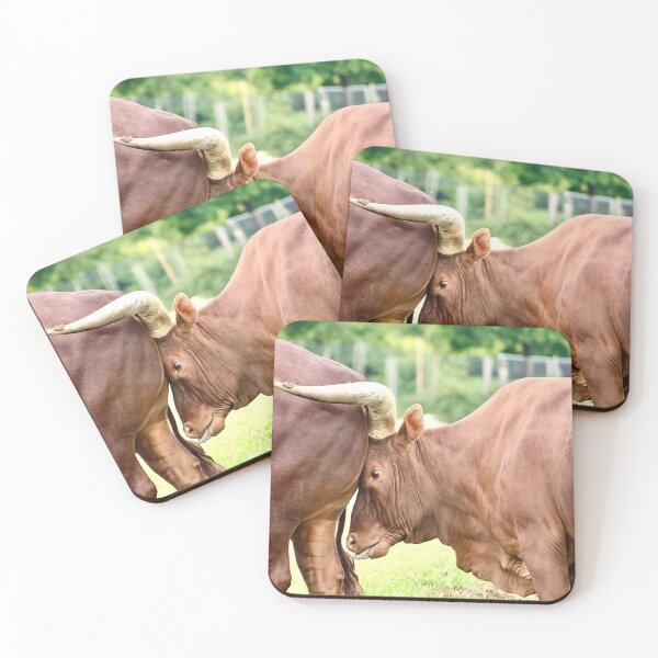 Item preview, Cows designed and sold by kew-photography.
