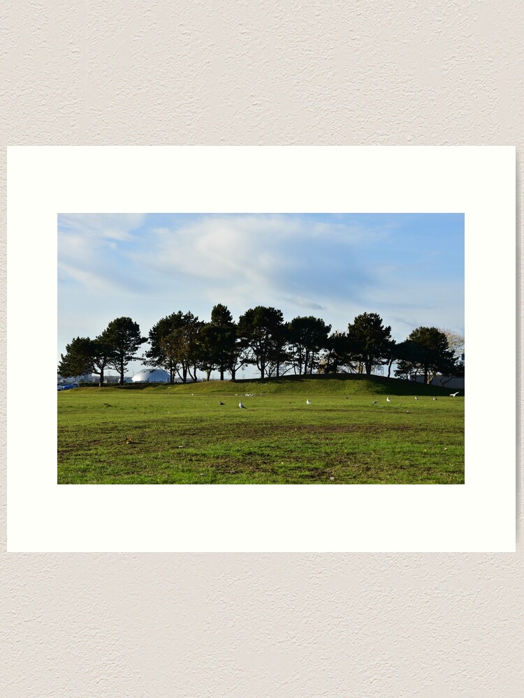 Alternate view of Woodland Art Print