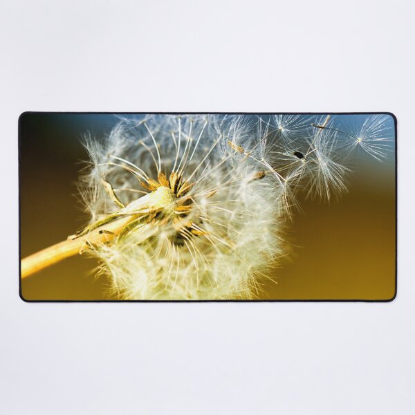 Item preview, Dandelion Clock Seeds designed and sold by FOLK ART FUSION by heidiannemorris.