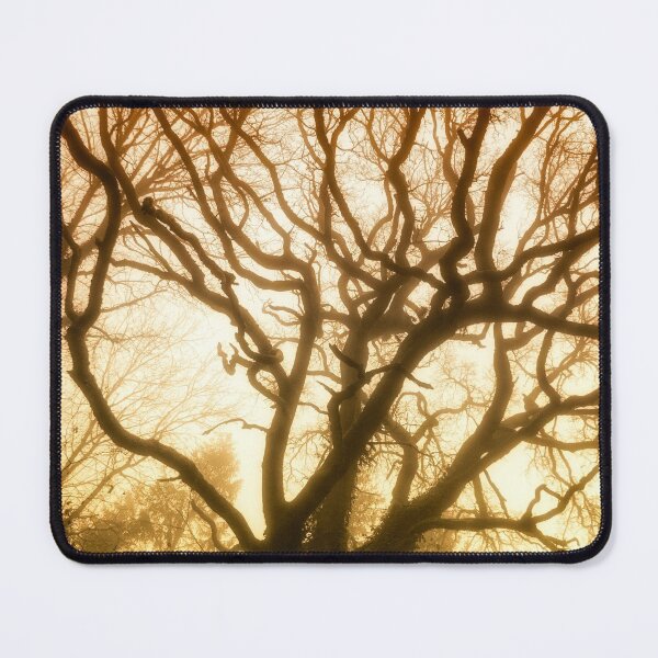 Item preview, Leafless sleep designed and sold by FOLK ART FUSION by heidiannemorris.
