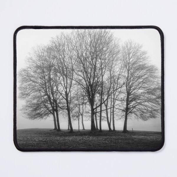 Item preview, Silence in the grove by heidiannemorris © designed and sold by FOLK ART FUSION by heidiannemorris.