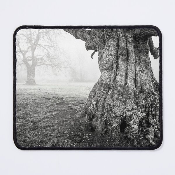 Item preview, Old Oak Tree Trunk In Fog by heidiannemorris © designed and sold by FOLK ART FUSION by heidiannemorris.