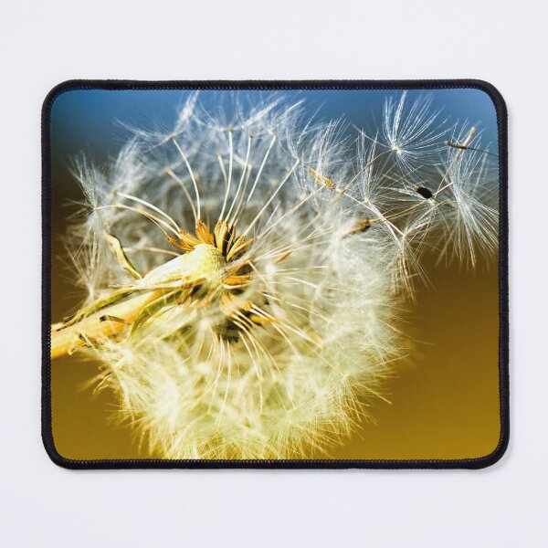 Item preview, Dandelion Clock Seeds designed and sold by FOLK ART FUSION by heidiannemorris.