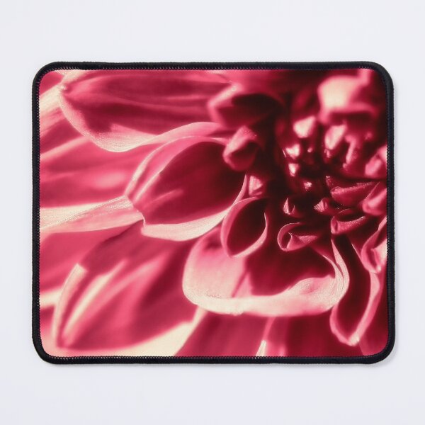 Item preview, Dahlia Blush designed and sold by FOLK ART FUSION by heidiannemorris.