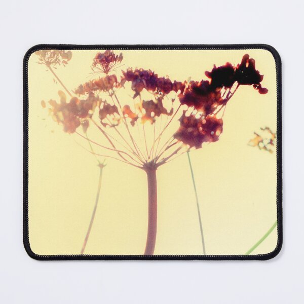 Item preview, Queen Anne's Lace designed and sold by FOLK ART FUSION by heidiannemorris.