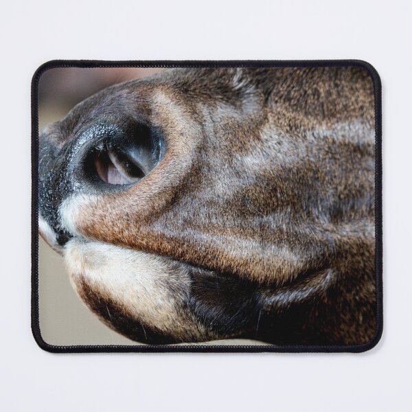 Item preview, Caribou Muzzle designed and sold by FOLK ART FUSION by heidiannemorris.