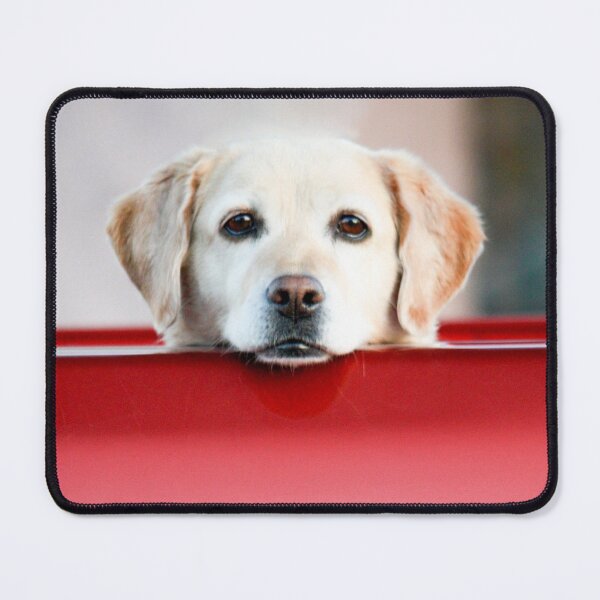 Item preview, 4 X PAW Yellow Labrador designed and sold by FOLK ART FUSION by heidiannemorris.