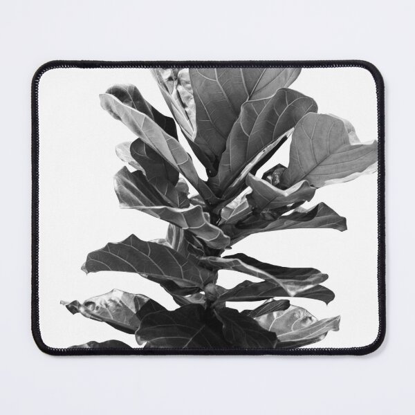 Item preview, Fiddle Leaf Fig Finesse #1 #wall #art  designed and sold by Anita's & Bella's Art.