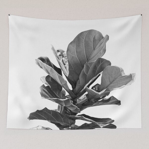 Item preview, Fiddle Leaf Fig Finesse #1 #wall #art  designed and sold by Anita's & Bella's Art.