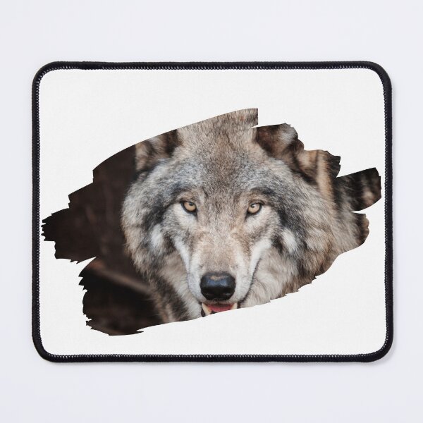 Item preview, dangerous wolf designed and sold by Starlordstore.