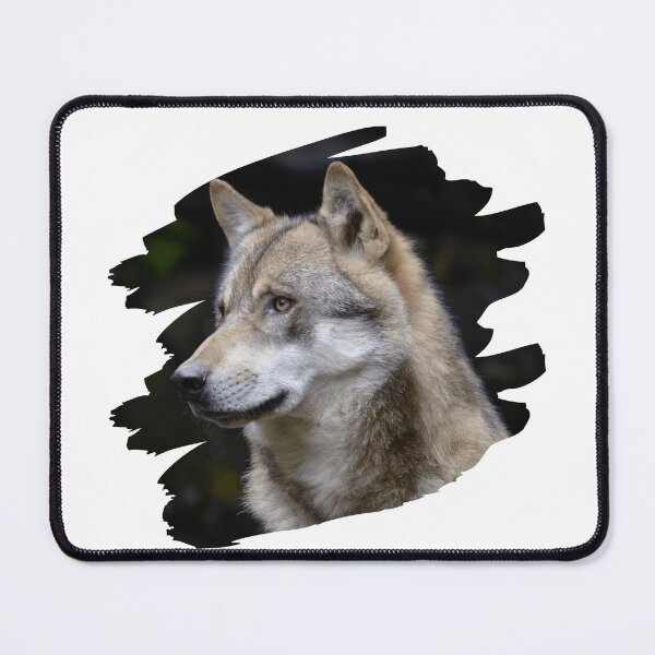 Item preview, painted beautiful wolf designed and sold by Starlordstore.