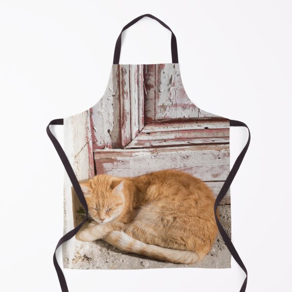 Item preview, Cute Cat in Anafiotika Athens #1 #wall #art designed and sold by Anita's & Bella's Art.