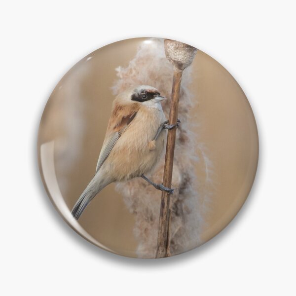 Item preview, Penduline Tit designed and sold by LaurenTucker.