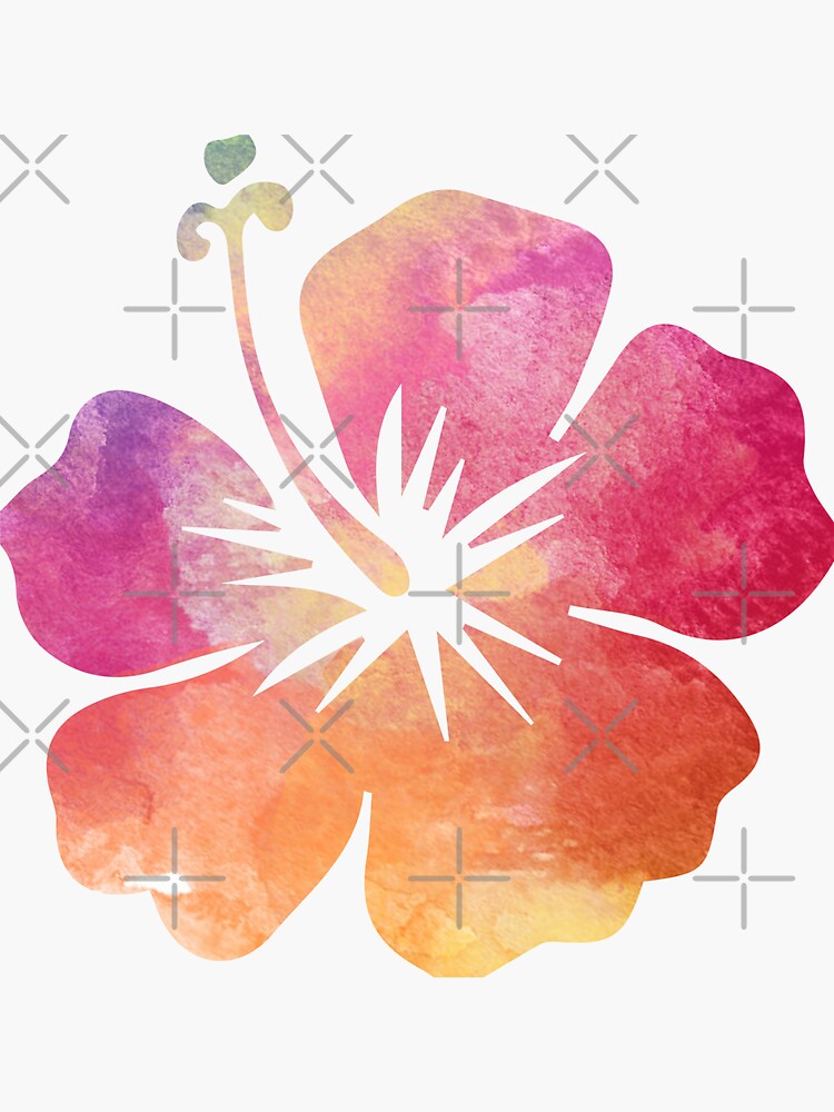 "Hibiscus Water Color Flower" Sticker for Sale by Designs111 Redbubble