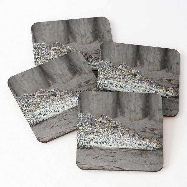 Item preview, Endangered Cuban Crocodile Laying Down designed and sold by DoveyCreates.