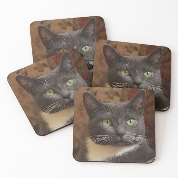 Item preview, Stevie the Cat with Green Eyes designed and sold by PaulKPhoto.