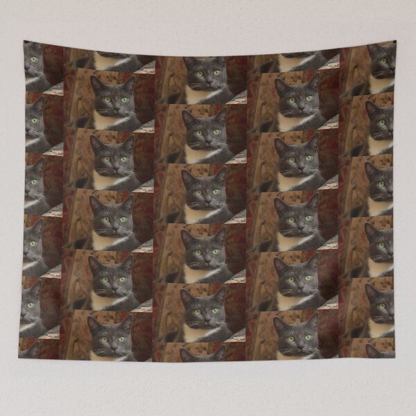 Item preview, Stevie the Cat with Green Eyes designed and sold by PaulKPhoto.
