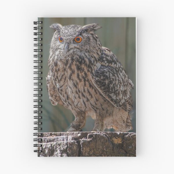Item preview, Eurasian Eagle Owl Bird designed and sold by DoveyCreates.