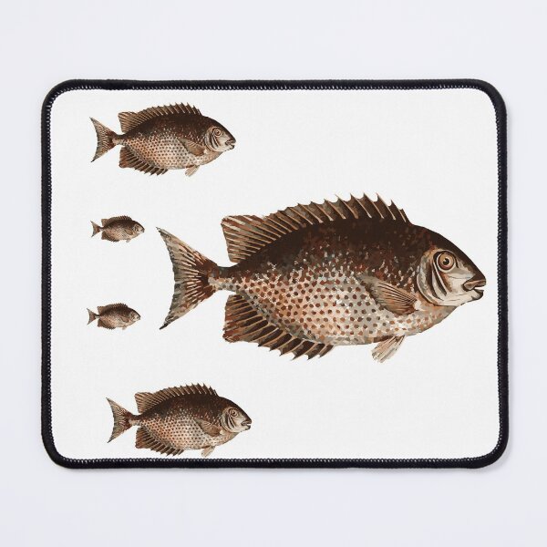 Item preview, Fish Drawing designed and sold by Bndmobetisoft.