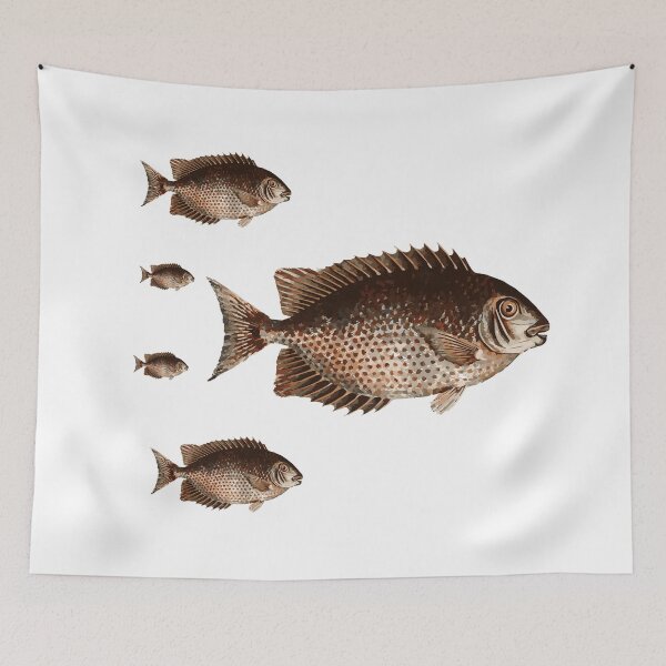 Item preview, Fish Drawing designed and sold by Bndmobetisoft.