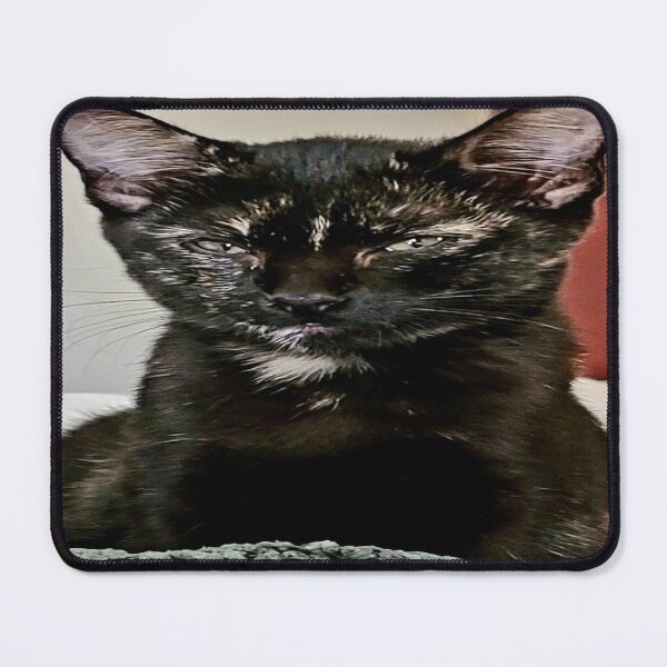 Item preview, Animals are gifts from above designed and sold by SOUTHERN0CHARM.