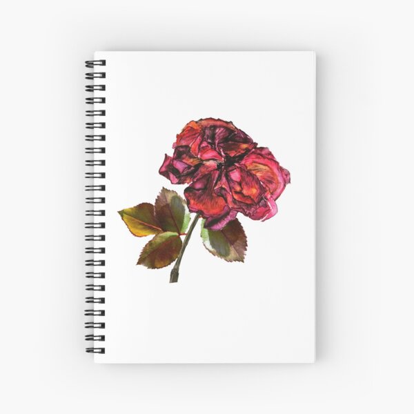 Dried Floral Bouquet on Light Background - Pink Minimal Aesthetics Poster  for Sale by kaespo
