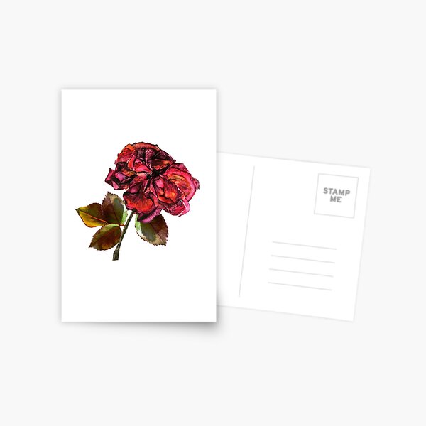 Dried Floral Bouquet on Light Background - Pink Minimal Aesthetics  Greeting Card for Sale by kaespo