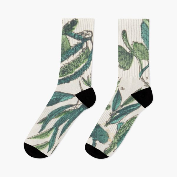 Item preview, Leafy Green Vintage Botanical Chart designed and sold by ZinZoe.
