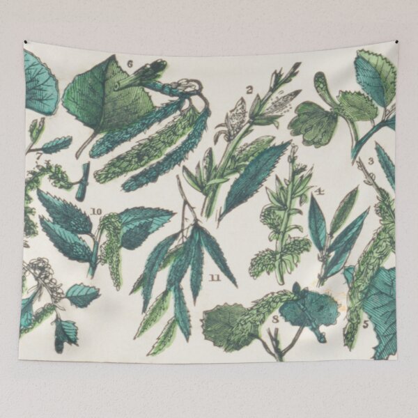 Item preview, Leafy Green Vintage Botanical Chart designed and sold by ZinZoe.