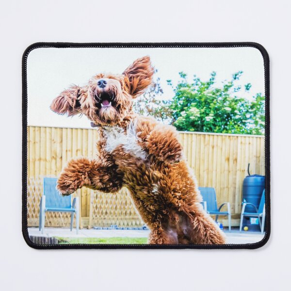 Item preview, Crazy Cockapoo Puppy designed and sold by Paul Thompson Photography.