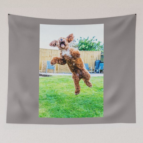 Item preview, Crazy Cockapoo Puppy designed and sold by Paul Thompson Photography.
