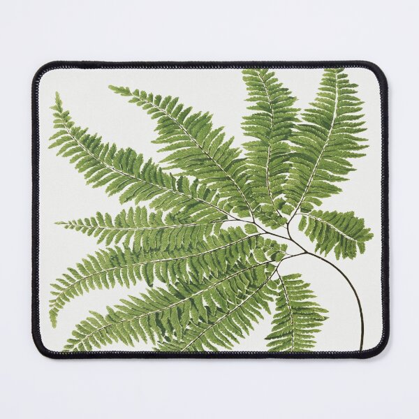 Item preview, Fern - botanical illustration  designed and sold by ZinZoe.