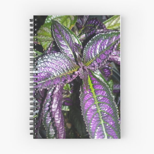 Item preview, Persian Shield Plant designed and sold by MangoFaceDesign.