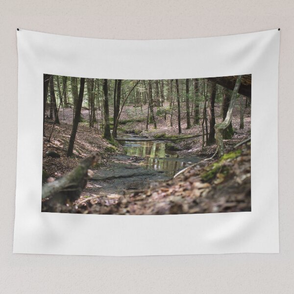 Item preview, A Stream in the Forest designed and sold by Andy Bordner.