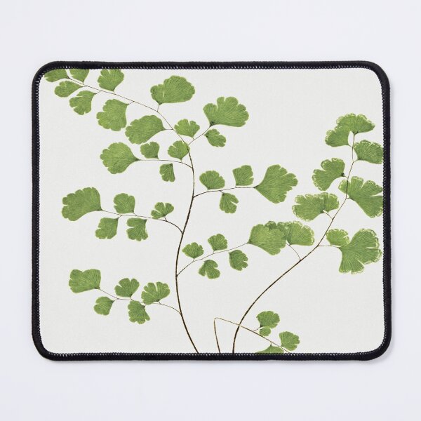 Item preview, Antique Fern Illustration designed and sold by ZinZoe.