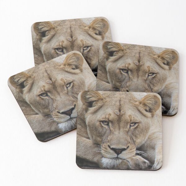 Item preview, Adult Lioness Staring (Female Lion) designed and sold by DoveyCreates.