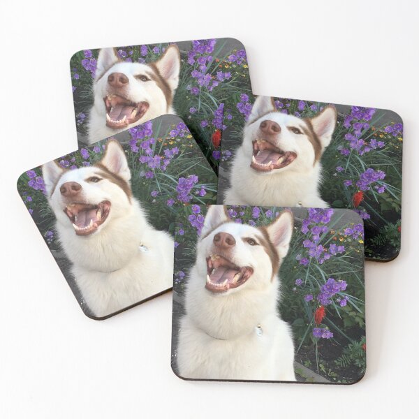 Item preview, Copy of Dog Husky,  piebald husky. Taken from a real photo of our husky Balto designed and sold by ArtAlbina.