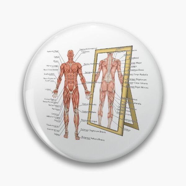 Item preview, Anatomy designed and sold by HeavyBurden.