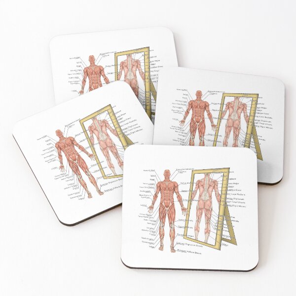 Item preview, Anatomy designed and sold by HeavyBurden.