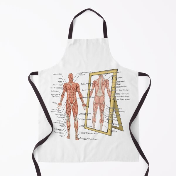 Item preview, Anatomy designed and sold by HeavyBurden.