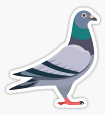 Pigeon Sticker